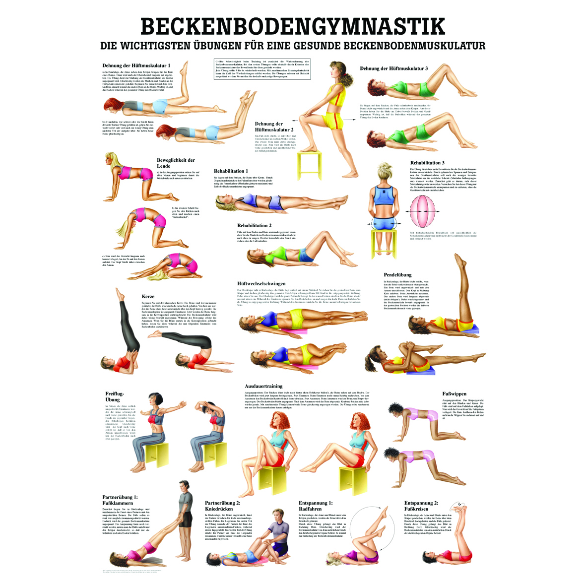 Anatomische Lehrtafel "Beckenbodengymnastik 34 x 24"